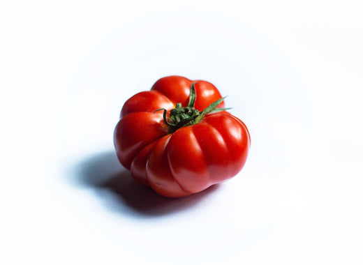 fertilizzante per fertirrigazione - fertilizzante per frutteti - fertilizzante per idroponica - fertilizzante per orti e giardini - fertilizzante per orticoltura - fertilizzante per piante