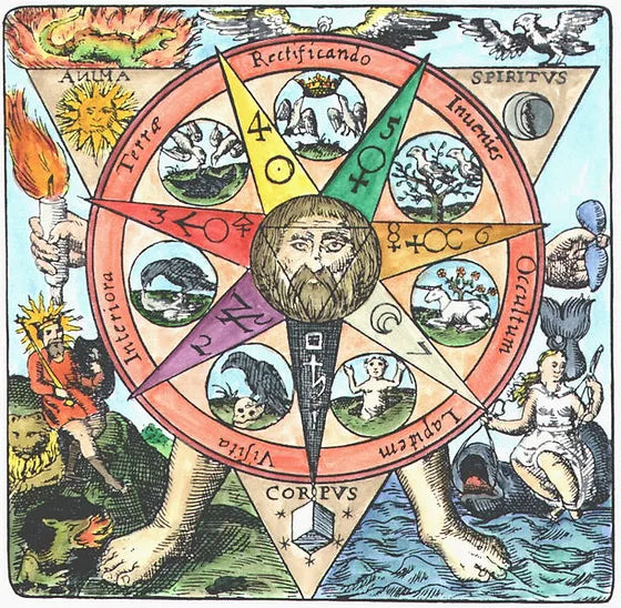 agricola ecologica - alghe marine - apparato radicale - cicatrizzazione piante - coltivazioni biologiche - crescita sana delle piante - difesa contro i parassiti- disinfettante naturale per piante- elicitori naturali per piante