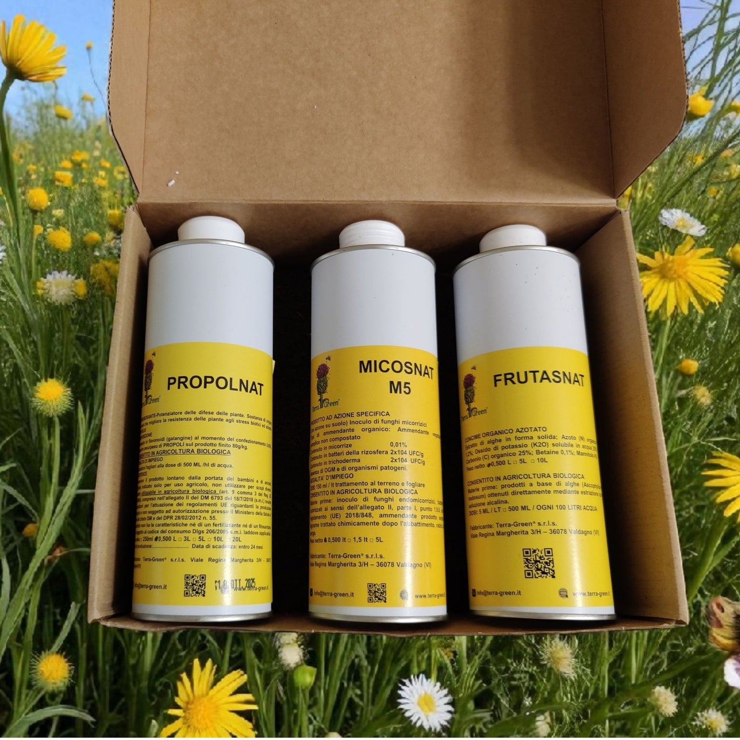 Trittico per piante d'appartamento un gesto d'amore per le tue piante e la tua casa