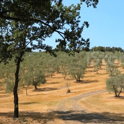 azione sistemica- azione sistemica per piante - azoto, fosforo, potassio – fosforo – potassio - batteri della rizosfera - bio-controllo malattie - biocontrollo naturale - biodiversità del suolo - biodiversità e insetti utili - biodiversità microbica