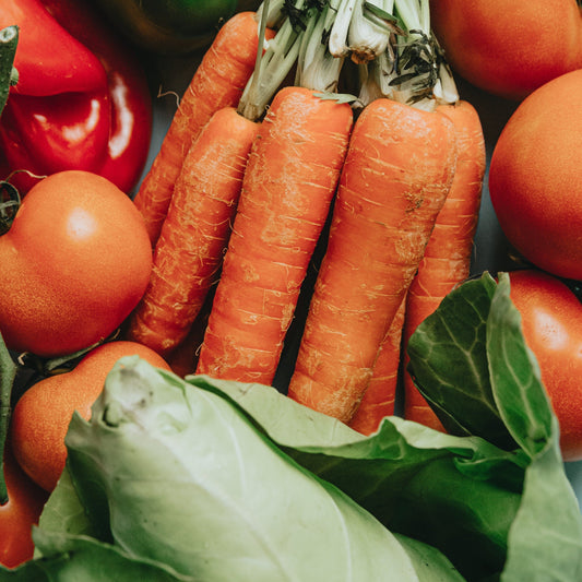 Innovazione e sostenibilità nell'agricoltura per piante da orto: i fertilizzanti e corroboranti erboristici Terra-Green®